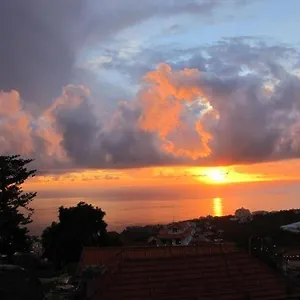 Madeira House Ferienhaus